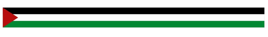 Car vinyl Bumper Stickers