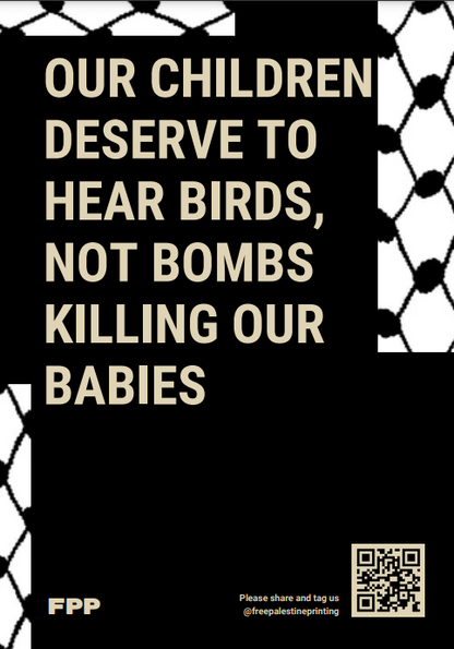Birds, Not Bombs Poster